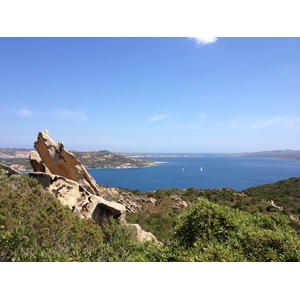 Picture Italy Sardinia Roccia dell'Orso 2015-06 47 - Sightseeing Roccia dell'Orso