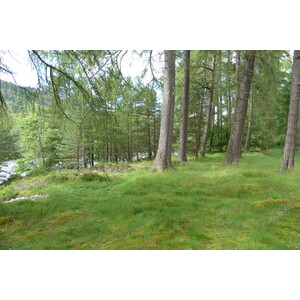 Picture United Kingdom Scotland Cairngorms National Park Invercauld Bridge 2011-07 8 - Photographer Invercauld Bridge