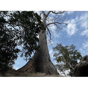 Picture Cambodia Siem Reap Ta Prohm 2023-01 101 - Sightseeing Ta Prohm