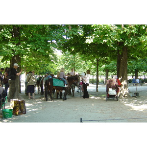 Picture France Paris Garden of Tuileries 2007-05 6 - Photo Garden of Tuileries