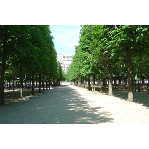 Picture France Paris Garden of Tuileries 2007-05 42 - Journey Garden of Tuileries