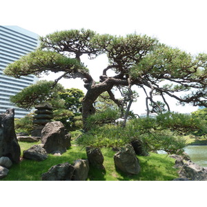 Picture Japan Tokyo Kyu Shiba rikyu Gardens 2010-06 7 - Perspective Kyu Shiba rikyu Gardens