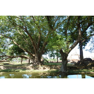 Picture Thailand Sukhothai 2010-12 84 - Perspective Sukhothai