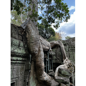 Picture Cambodia Siem Reap Ta Prohm 2023-01 64 - Map Ta Prohm