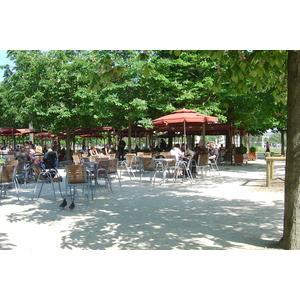 Picture France Paris Garden of Tuileries 2007-05 331 - Photos Garden of Tuileries