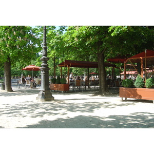 Picture France Paris Garden of Tuileries 2007-05 328 - Photos Garden of Tuileries