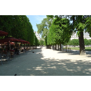 Picture France Paris Garden of Tuileries 2007-05 54 - Sight Garden of Tuileries