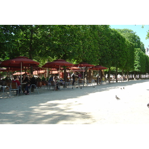 Picture France Paris Garden of Tuileries 2007-05 73 - Pictures Garden of Tuileries