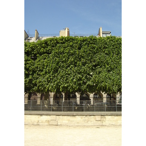 Picture France Paris Garden of Tuileries 2007-05 17 - Tourist Attraction Garden of Tuileries