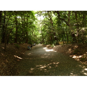 Picture Japan Tokyo Yoyogi Park 2010-06 16 - Picture Yoyogi Park