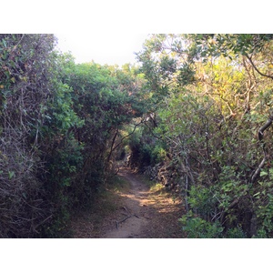 Picture Italy Sardinia Portobello di Gallura 2015-06 17 - View Portobello di Gallura