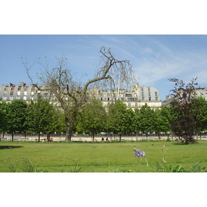 Picture France Paris Garden of Tuileries 2007-05 136 - Perspective Garden of Tuileries