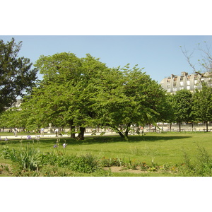 Picture France Paris Garden of Tuileries 2007-05 158 - View Garden of Tuileries