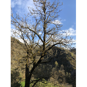 Picture France Conques 2018-04 98 - Flight Conques