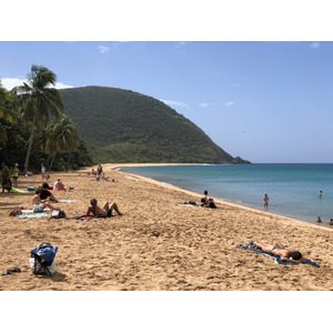 Picture Guadeloupe Grande Hanse Beach 2021-02 19 - Picture Grande Hanse Beach