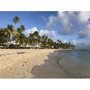 Picture Guadeloupe La Caravelle Beach 2021-02 130 - Picture La Caravelle Beach