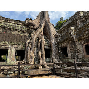 Picture Cambodia Siem Reap Ta Prohm 2023-01 89 - Tourist Ta Prohm