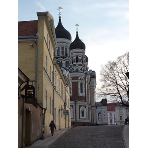 Picture Estonia Tallinn Old Tallinn 2009-04 85 - Trips Old Tallinn