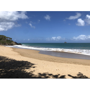 Picture Guadeloupe La Perle Beach 2021-02 97 - Pictures La Perle Beach