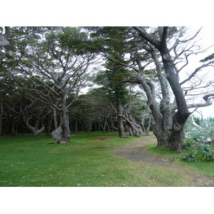 Picture New Caledonia Ile des pins Kuto Beach 2010-05 43 - Photographer Kuto Beach