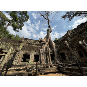 Picture Cambodia Siem Reap Ta Prohm 2023-01 104 - Randonee Ta Prohm