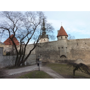 Picture Estonia Tallinn Old Tallinn 2009-04 25 - Tourist Old Tallinn