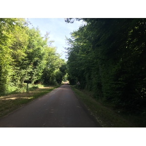 Picture France Saint-Fargeau 2017-07 16 - View Saint-Fargeau