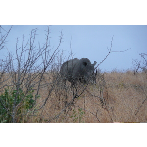 Picture South Africa Kruger National Park 2008-09 56 - Road Kruger National Park