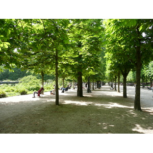 Picture France Paris Garden of Tuileries 2007-05 213 - Picture Garden of Tuileries