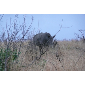 Picture South Africa Kruger National Park 2008-09 165 - Tourist Attraction Kruger National Park