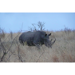 Picture South Africa Kruger National Park 2008-09 131 - Car Kruger National Park