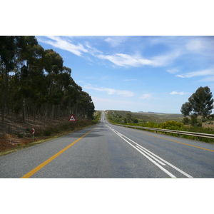 Picture South Africa Harmanus to Knysna road 2008-09 85 - Sight Harmanus to Knysna road