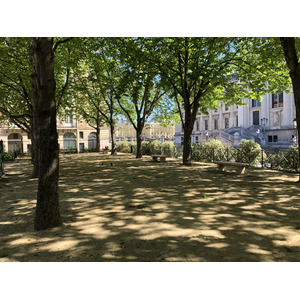 Picture France Paris lockdown 2020-04 71 - Photographers Paris lockdown