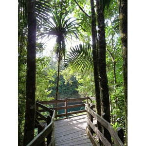 Picture New Caledonia Parc de la Riviere Bleue Le Grand Kaori 2010-05 1 - View Le Grand Kaori