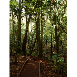 Picture New Caledonia Parc de la Riviere Bleue Le Grand Kaori 2010-05 14 - Road Map Le Grand Kaori