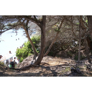 Picture France Corsica Santa Giulia Beach 2017-07 40 - Flight Santa Giulia Beach