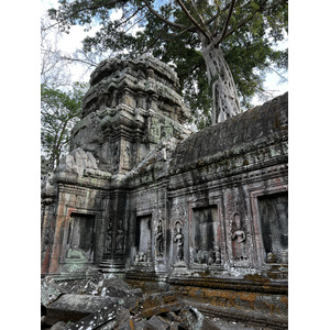 Picture Cambodia Siem Reap Ta Prohm 2023-01 153 - Trail Ta Prohm