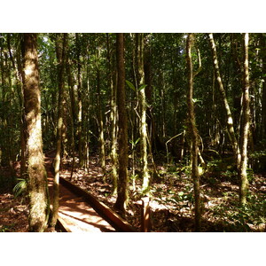 Picture New Caledonia Parc de la Riviere Bleue Le Grand Kaori 2010-05 49 - Perspective Le Grand Kaori