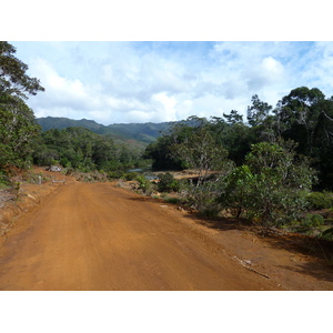 Picture New Caledonia Parc de la Riviere Bleue 2010-05 15 - Discover Parc de la Riviere Bleue