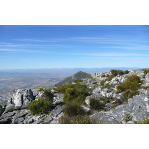 Picture South Africa Cape Town Table Mountain 2008-09 56 - Photos Table Mountain