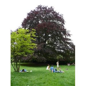 Picture France Paris Monceau Garden 2007-06 3 - Discover Monceau Garden