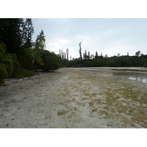 Picture New Caledonia Ile des pins Oro Bay 2010-05 86 - Pictures Oro Bay