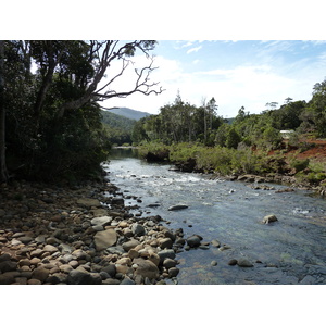 Picture New Caledonia Parc de la Riviere Bleue 2010-05 152 - Pictures Parc de la Riviere Bleue