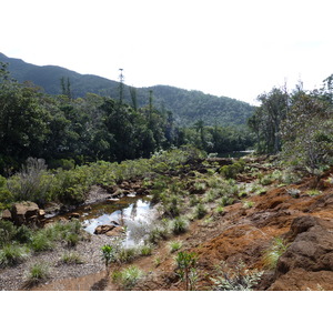 Picture New Caledonia Parc de la Riviere Bleue 2010-05 4 - Trips Parc de la Riviere Bleue