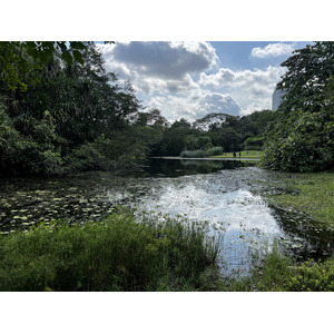 Picture Singapore Singapore Botanic Gardens 2023-01 4 - Photographers Singapore Botanic Gardens