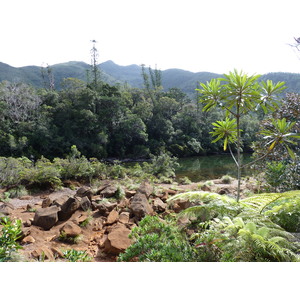 Picture New Caledonia Parc de la Riviere Bleue 2010-05 144 - Sight Parc de la Riviere Bleue