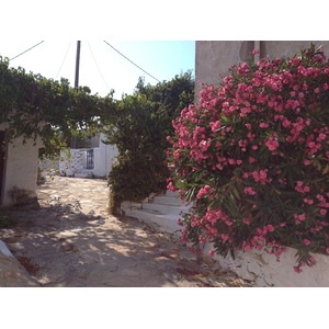 Picture Greece Amorgos 2014-07 344 - Perspective Amorgos