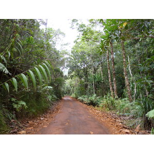 Picture New Caledonia Parc de la Riviere Bleue 2010-05 98 - Photographer Parc de la Riviere Bleue