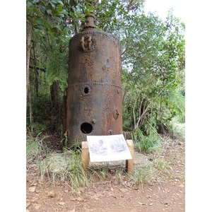 Picture New Caledonia Parc de la Riviere Bleue 2010-05 67 - Picture Parc de la Riviere Bleue