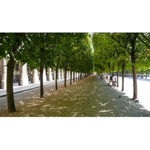 Picture France Paris Palais Royal 2007-08 16 - Pictures Palais Royal